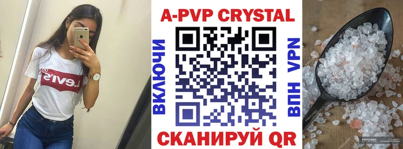 A PVP СК  Новоузенск 