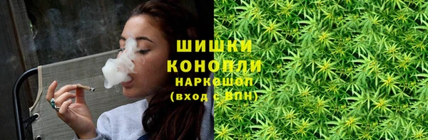 дмт Лиски