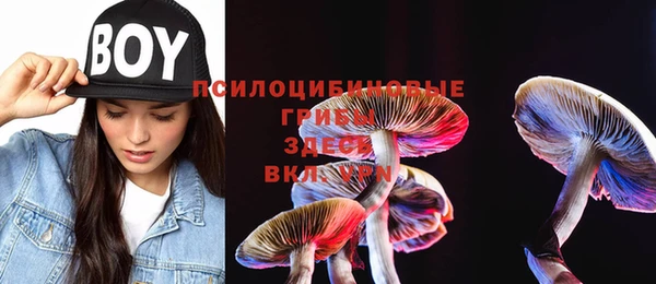 дмт Лиски