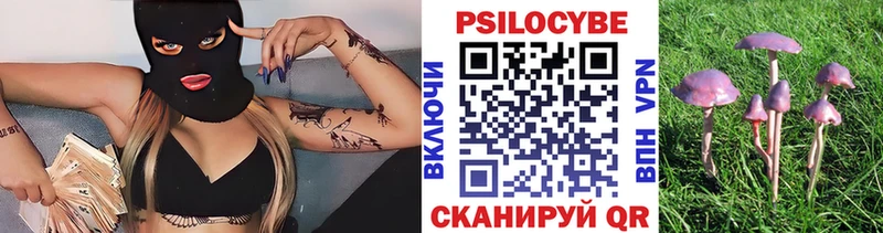 Галлюциногенные грибы мухоморы Новоузенск